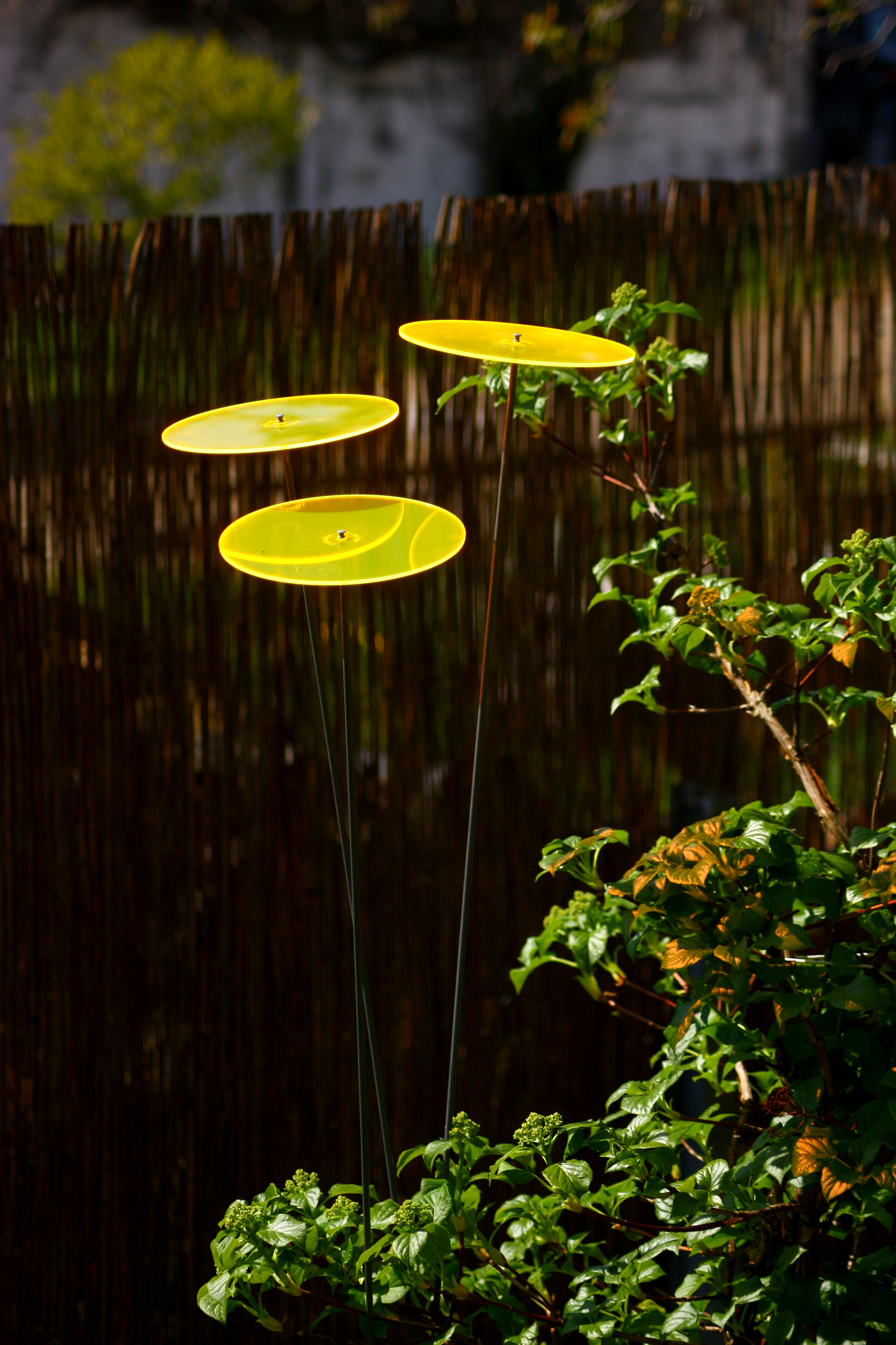 Cazador-del-sol ® | Uno | Vert